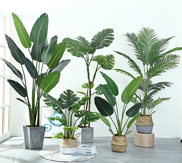 沈阳仿真植物好打理吗?