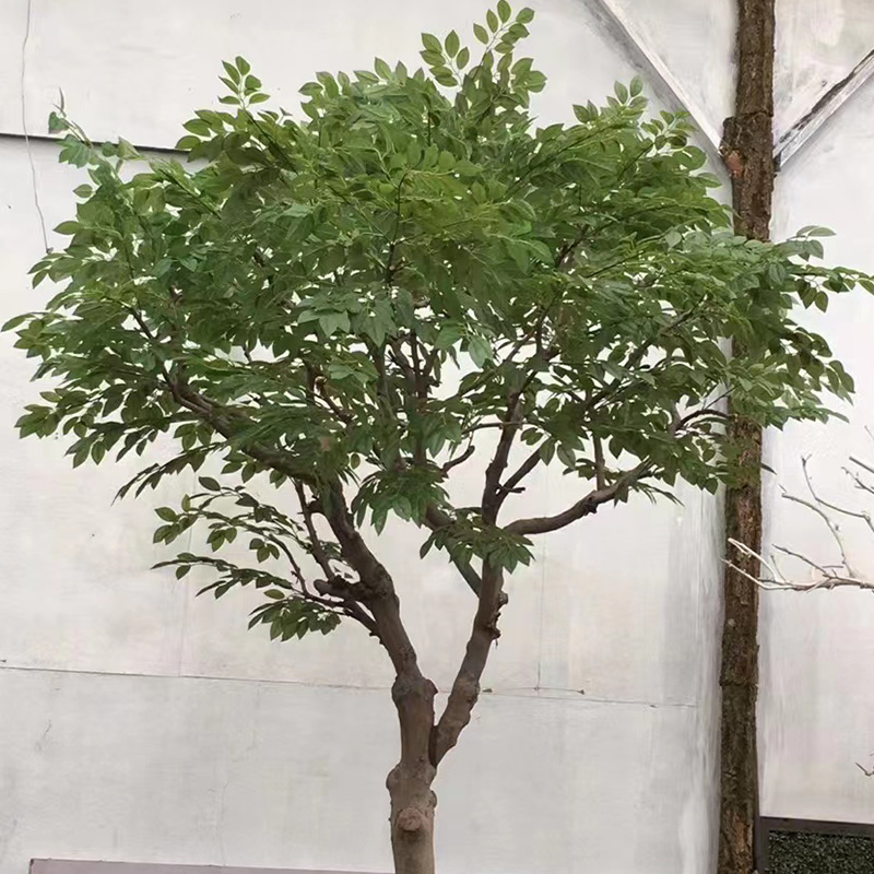 沈阳仿真植物