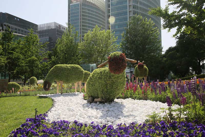 沈阳仿真植物