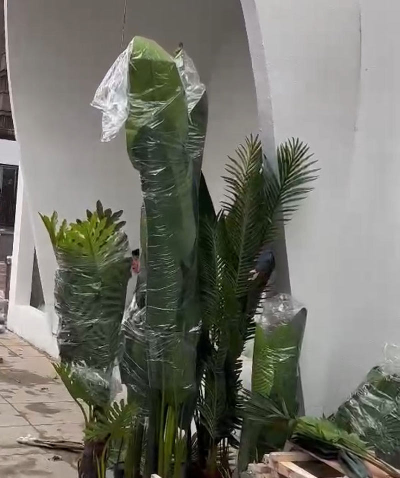 沈阳仿真植物